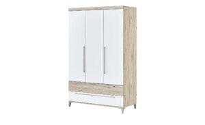 PAIDI Kleiderschrank  Remo - holzfarben - Maße (cm): B: 123